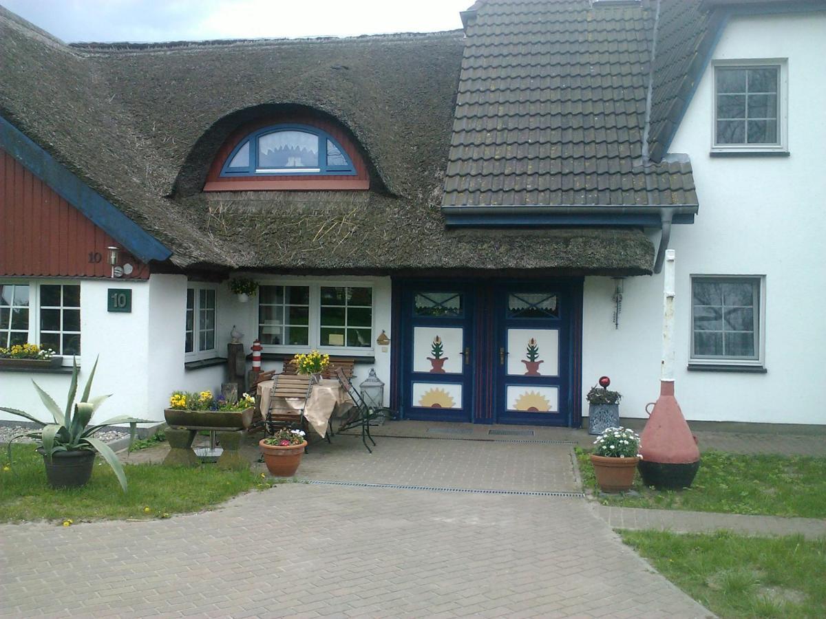 Pension Martens - Gaubenwohnung Wieck auf dem Darss Dış mekan fotoğraf